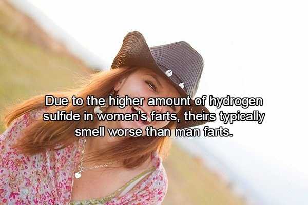fart facts 14