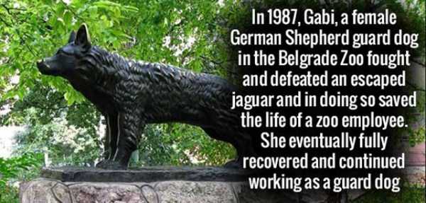 It’s Time For Some Cool And Interesting Facts – Part 40 (59 photos)