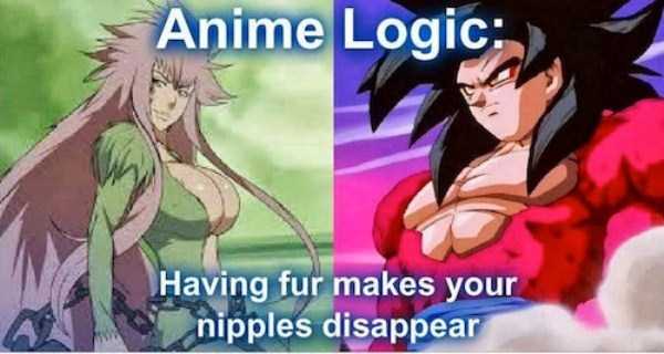 Ridiculous Anime Logic (22 photos)