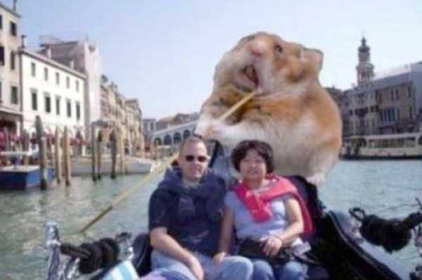 funny-photoshop-fails (20)