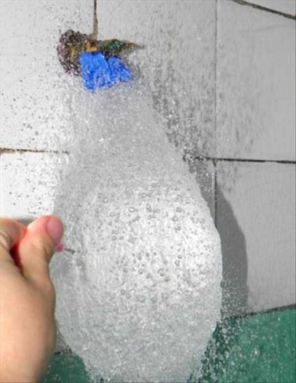 Perfectly Timed Photos (43 photos)