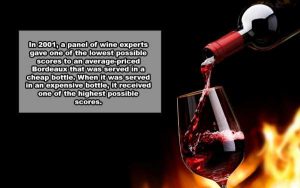 wine facts 15 300x188