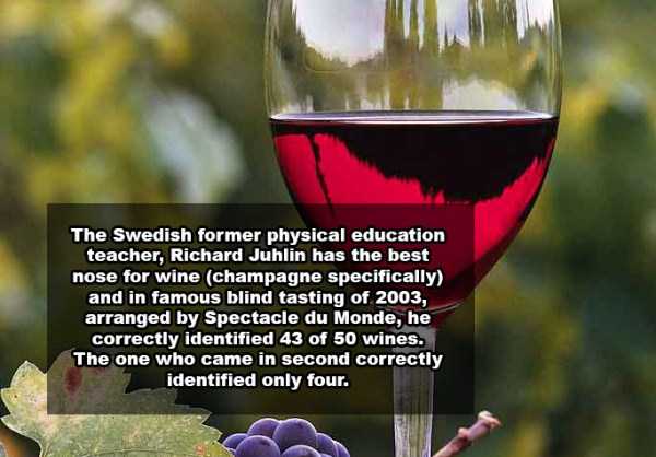 21 Fun Wine Facts (21 photos)