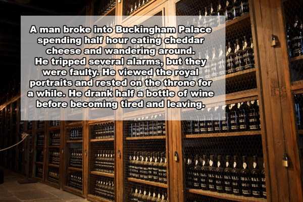 21 Fun Wine Facts (21 photos)