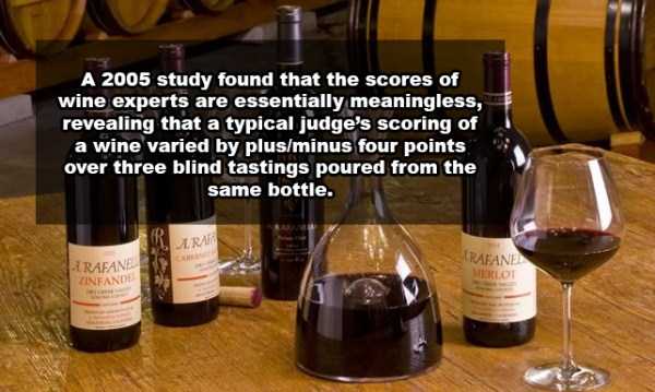 21 Fun Wine Facts | KLYKER.COM