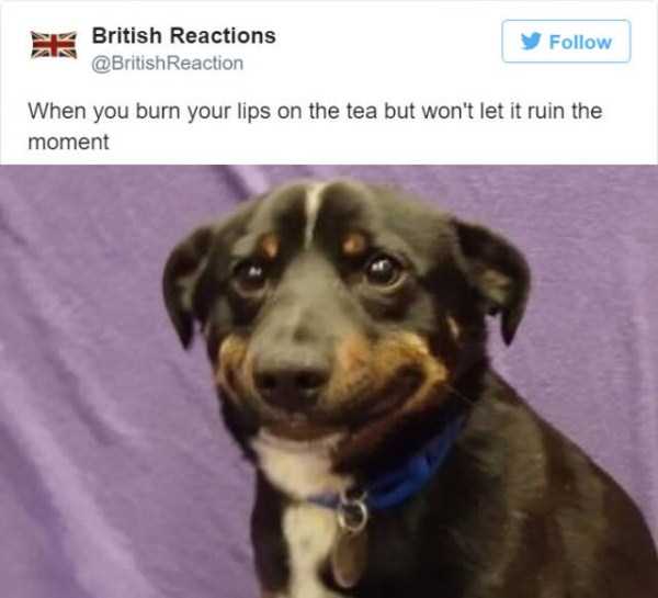46 Funny Tweets Showing What Its Like To Be British (46 photos)