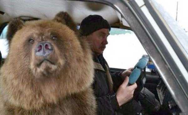 WTF Photos from the Planet Russia (37 photos)