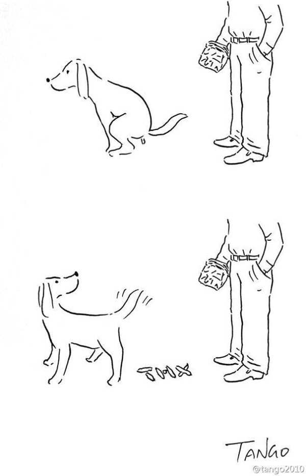 Funny Cartoons To Brighten Up Your Day (46 photos)