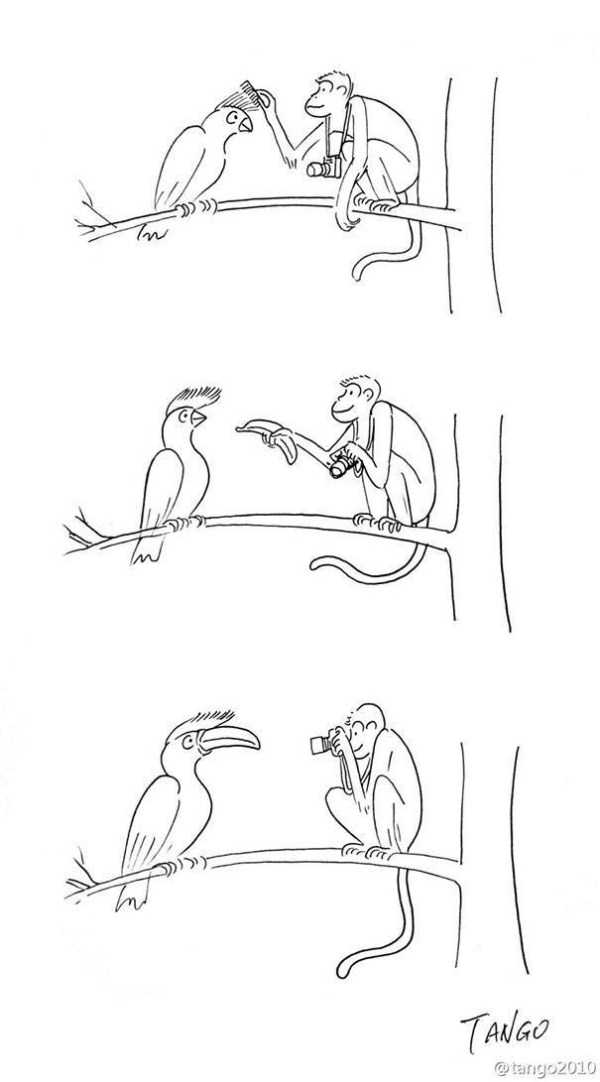 Funny Cartoons To Brighten Up Your Day (46 photos)