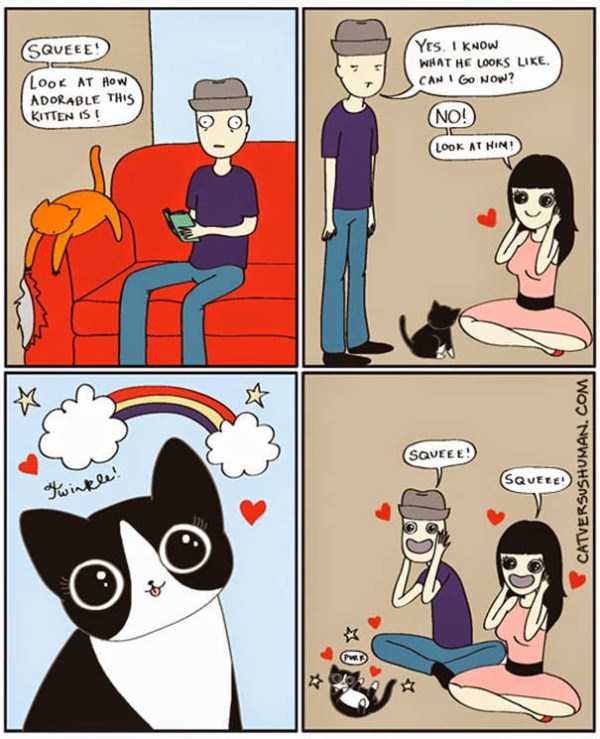life with cats funny comics 102