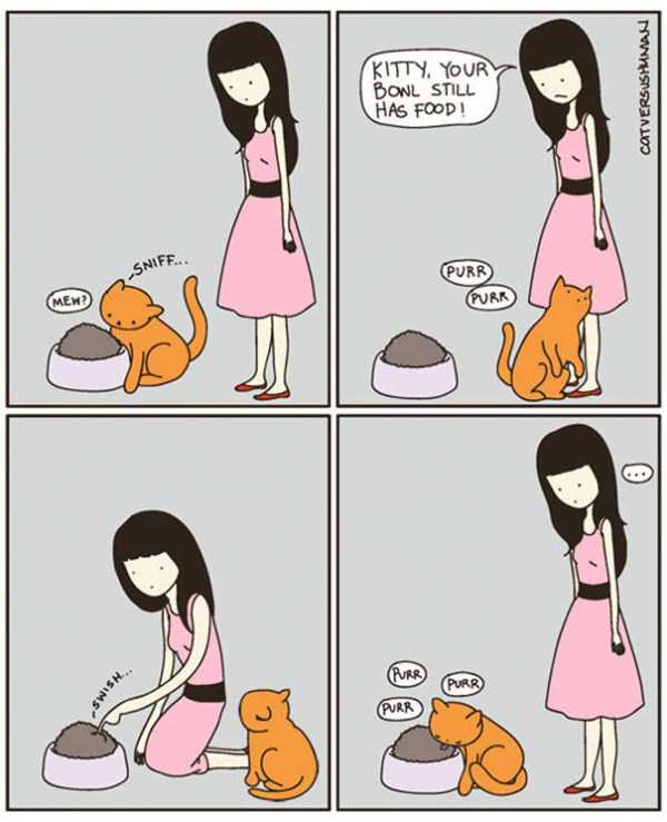 life with cats funny comics 29