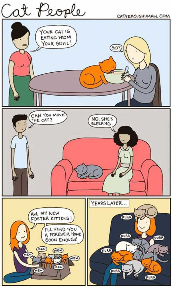 life with cats funny comics 3