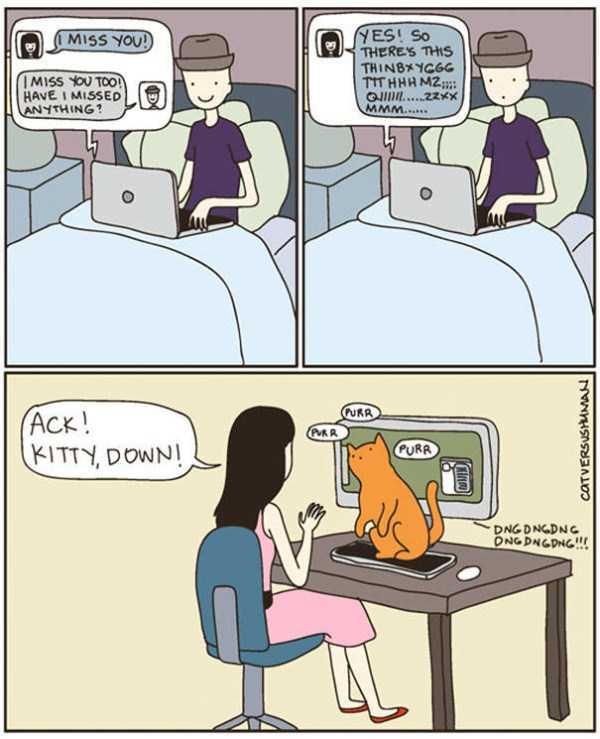 life with cats funny comics 42
