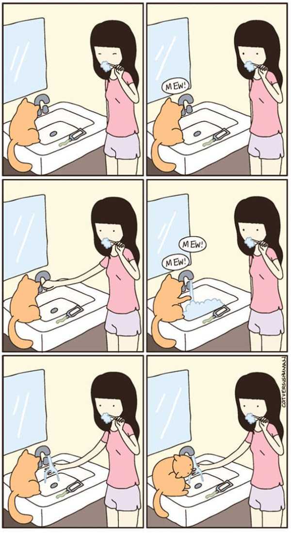 104 Funny Comics That Only Cat Owners Will Understand (104 photos)