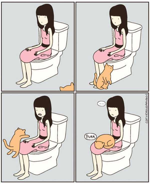life with cats funny comics 52