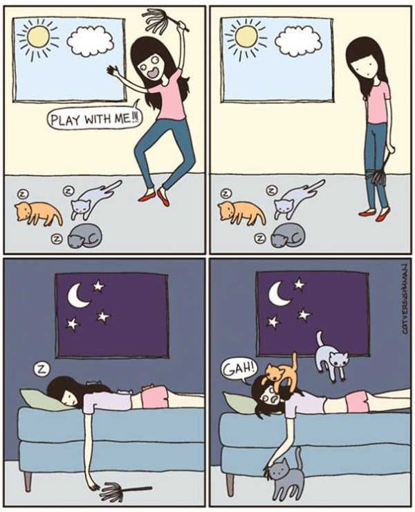life with cats funny comics 60