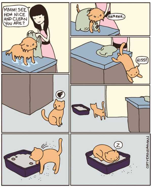 life with cats funny comics 61