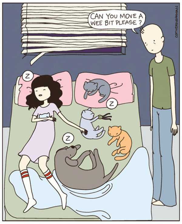 104 Funny Comics That Only Cat Owners Will Understand (104 photos)