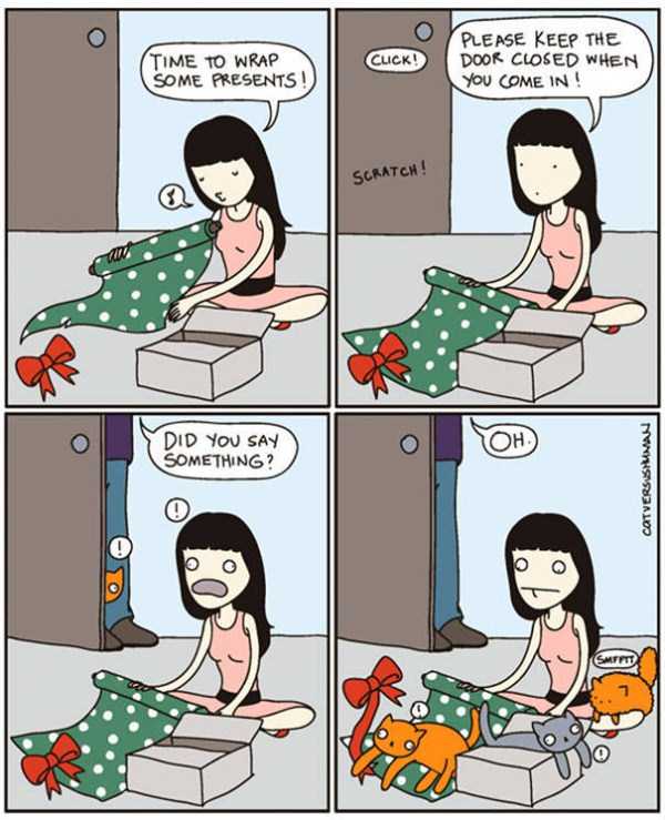 life with cats funny comics 89