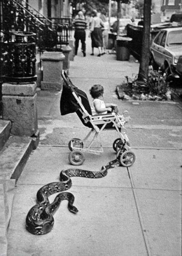 Weird and Baffling Vintage Photos (27 photos)