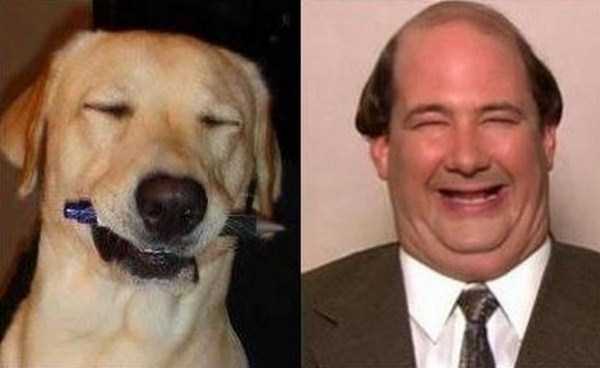 Famous People and their Dog Look Alikes (24 photos)
