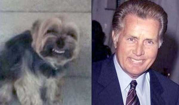 Famous People and their Dog Look Alikes (24 photos)