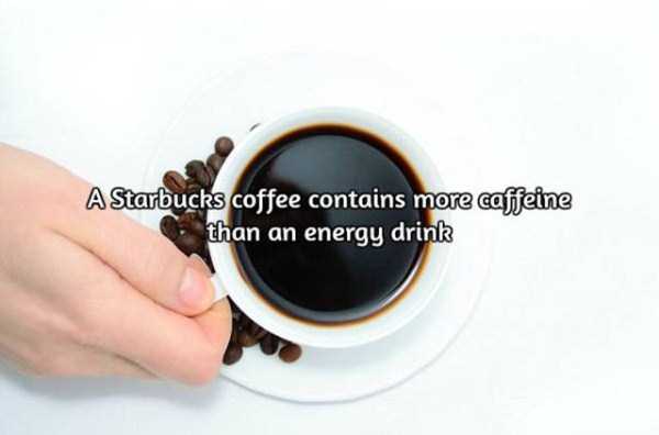 facts about coffee 1