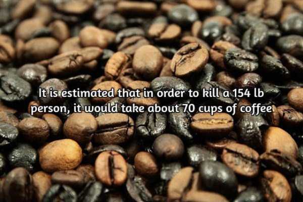 facts about coffee 14