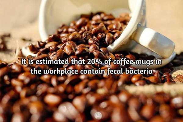facts about coffee 17