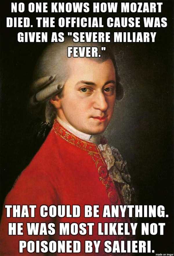 mozart facts 5