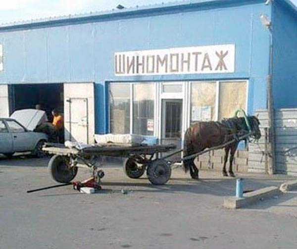 40 WTF Photos from the Planet Russia