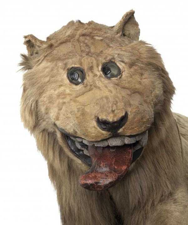 42 Cringeworthy Taxidermy Fails (42 photos)
