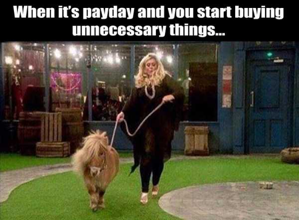 40 Funny Pics, Just in Case You Haven’t Laughed Yet Today