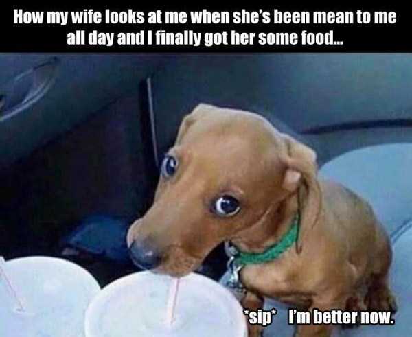 40 Funny Pics, Just in Case You Haven’t Laughed Yet Today
