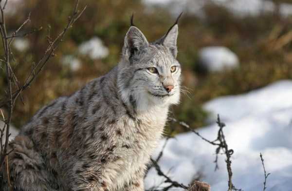 53 Nothing But Awesome Pics