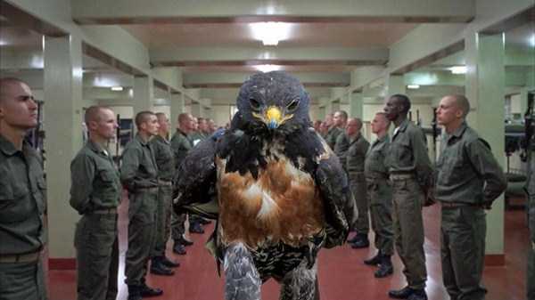 Badass Hawk Inspires Photoshop Battle (45 photos)