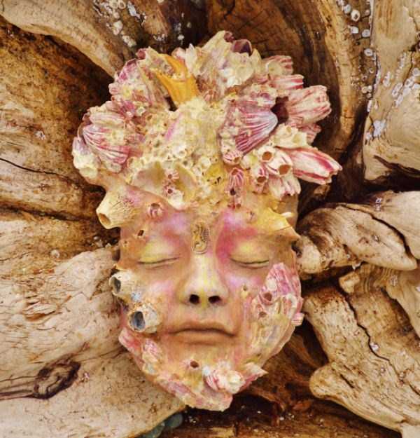 Hauntingly Beautiful Driftwood Sculptures By Debra Bernier (30 photos)