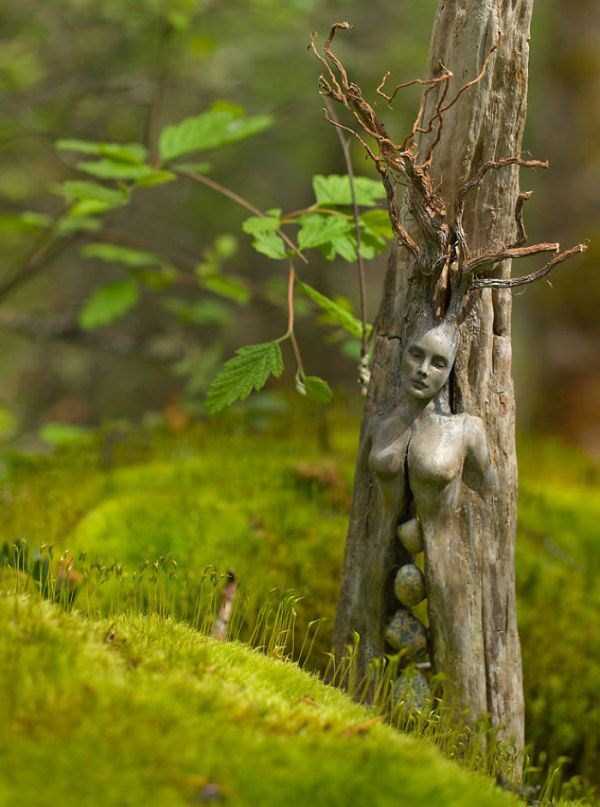 Hauntingly Beautiful Driftwood Sculptures By Debra Bernier (30 photos)