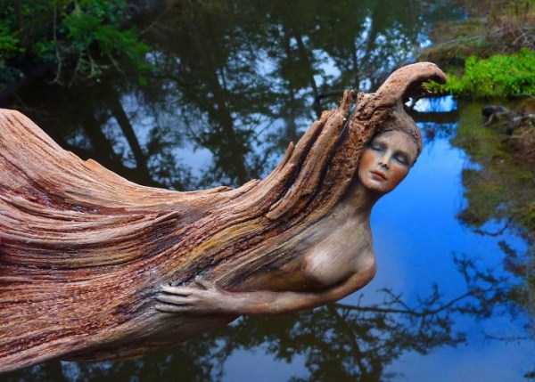 Hauntingly Beautiful Driftwood Sculptures By Debra Bernier (30 photos)