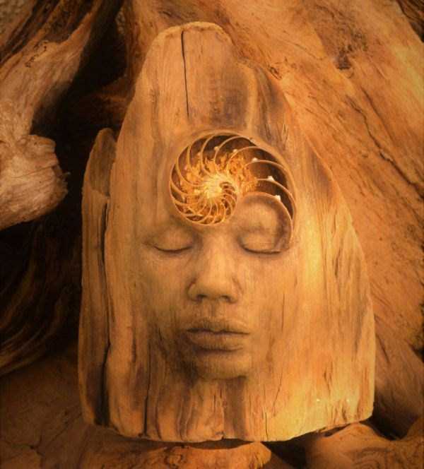 Hauntingly Beautiful Driftwood Sculptures By Debra Bernier (30 photos)