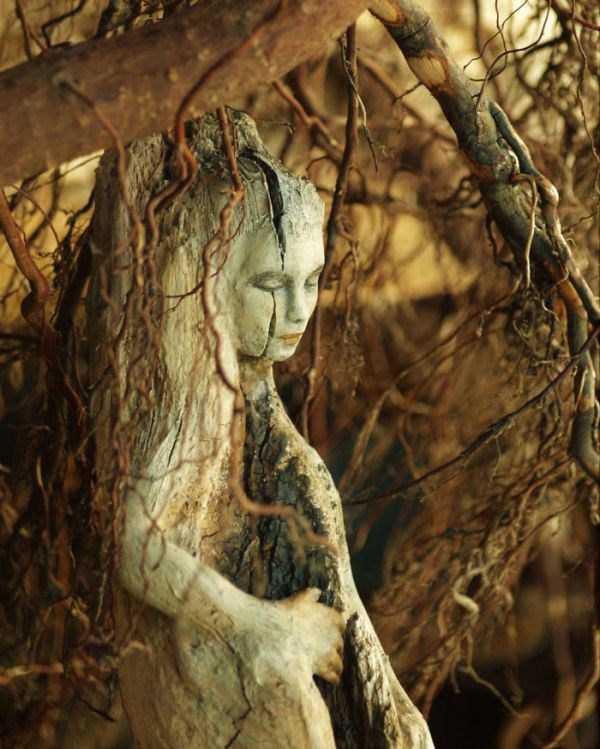 Hauntingly Beautiful Driftwood Sculptures By Debra Bernier (30 photos)