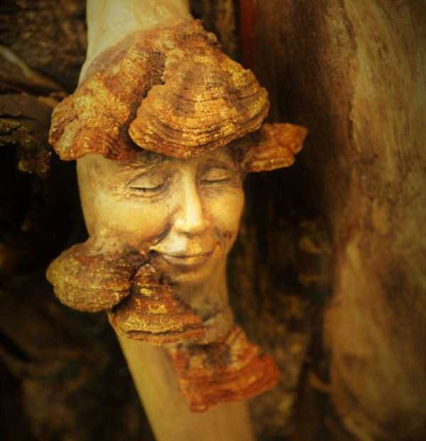 Hauntingly Beautiful Driftwood Sculptures By Debra Bernier (30 photos)