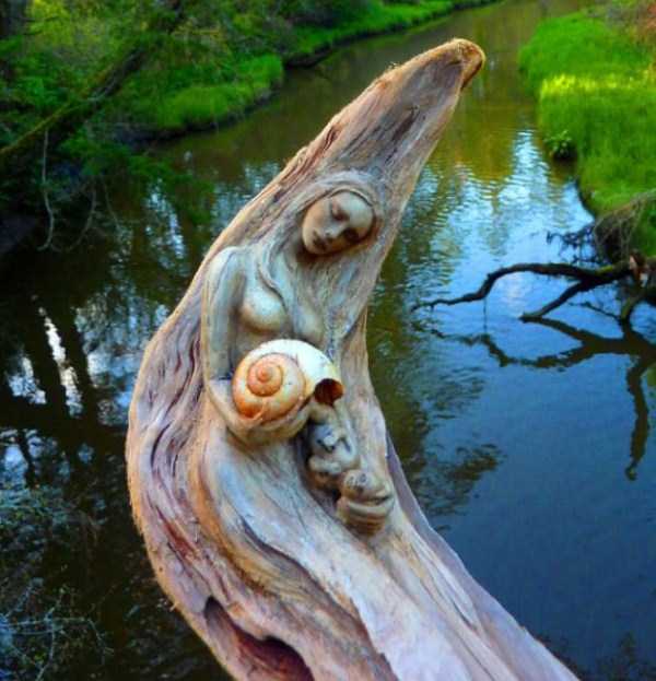 Hauntingly Beautiful Driftwood Sculptures By Debra Bernier (30 photos)