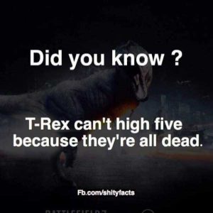 funny shitty facts 18 300x300