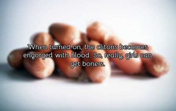 21 Facts About Vagina Grown Ups Should Know (21 photos)