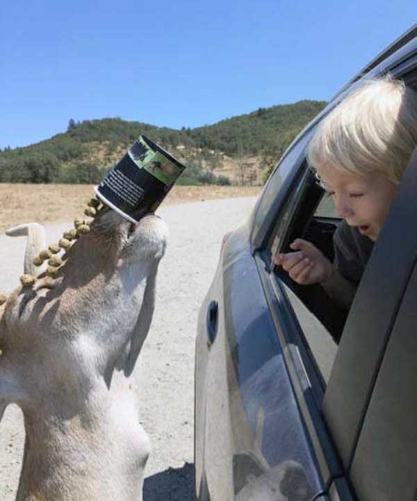 40 Perfectly Timed Photos