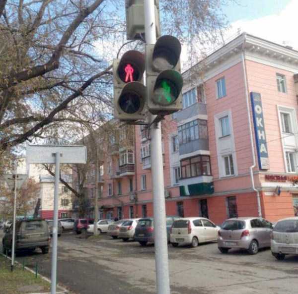 wtf pics from russia 30 1