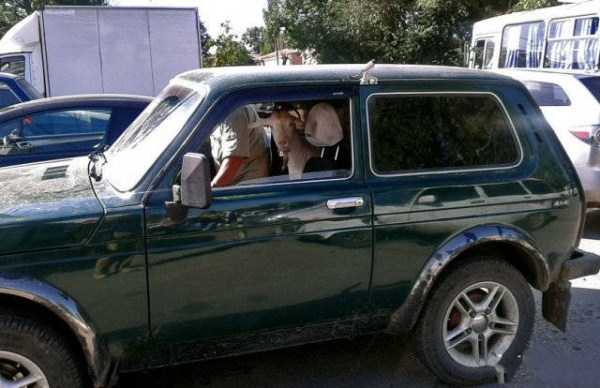 44 WTF Photos from the Planet Russia