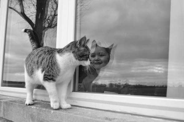 Unusual Reflections That Will Confuse You (45 photos)