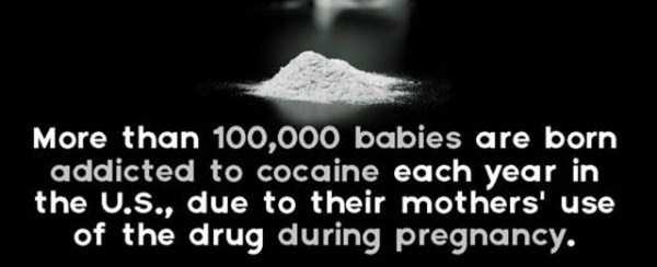 drug facts 11